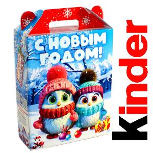 Детский подарок на Новый Год в жестяной упаковке весом 830 грамм по цене 3297 руб в Верхотурье